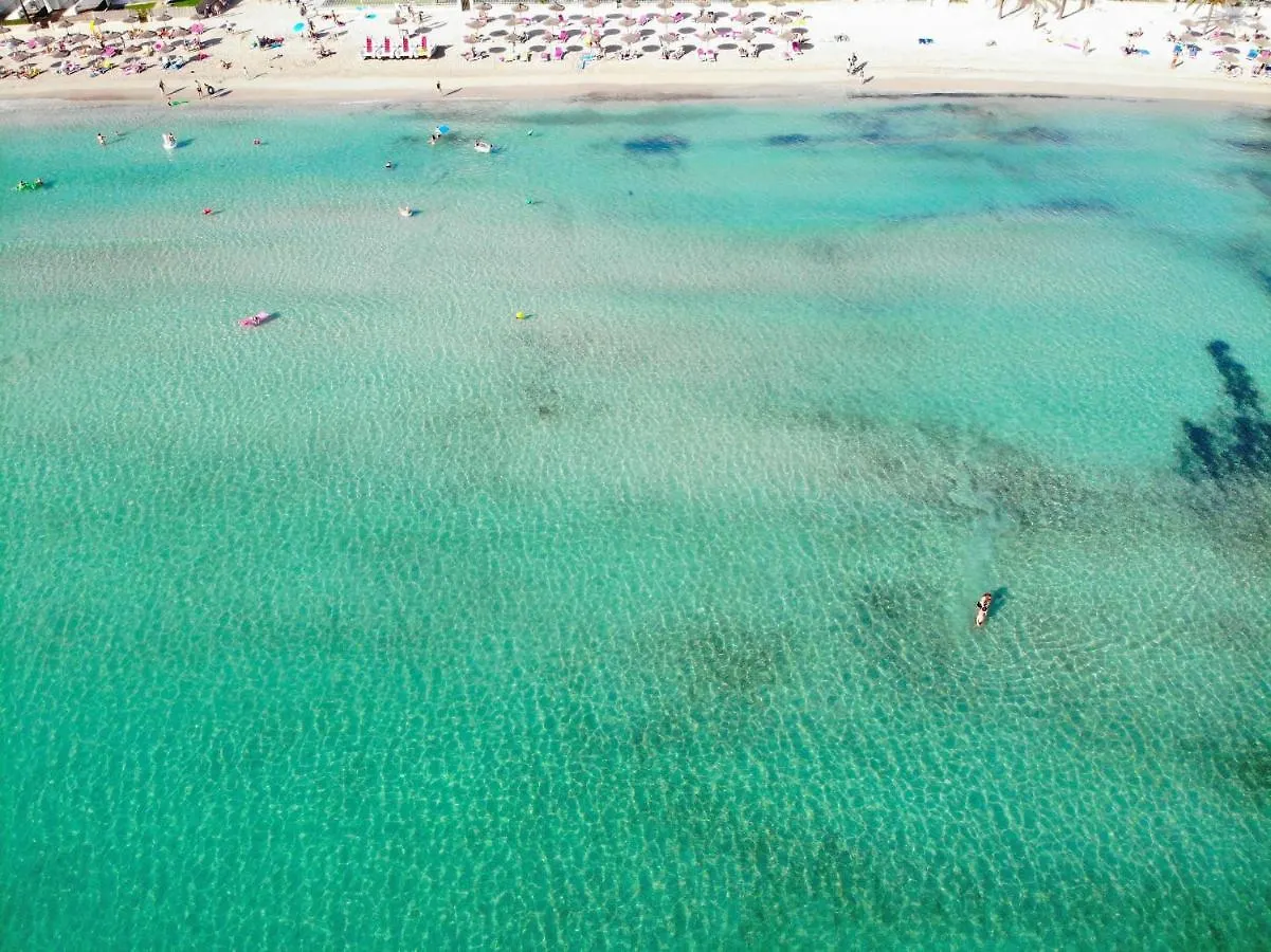 174 Apartamento Fantastic Etvpl12650 By Mallorca Charme Αλκούδια 0*,  Ισπανία